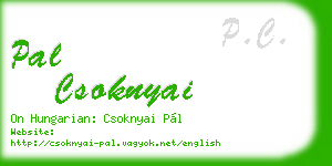 pal csoknyai business card